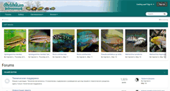 Desktop Screenshot of cichlids.ru